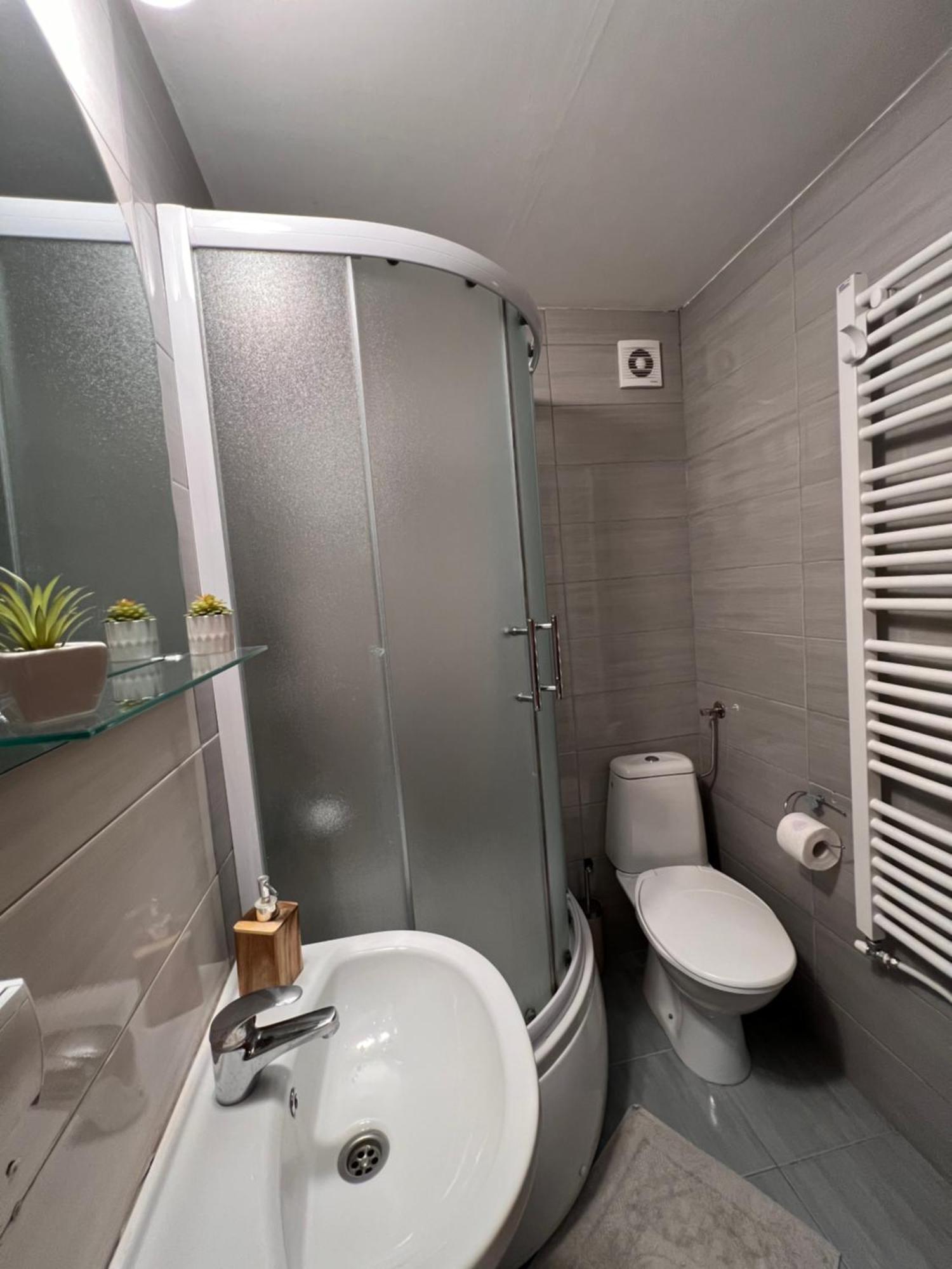 Mirkovic Lux Apartman Ni Exteriör bild