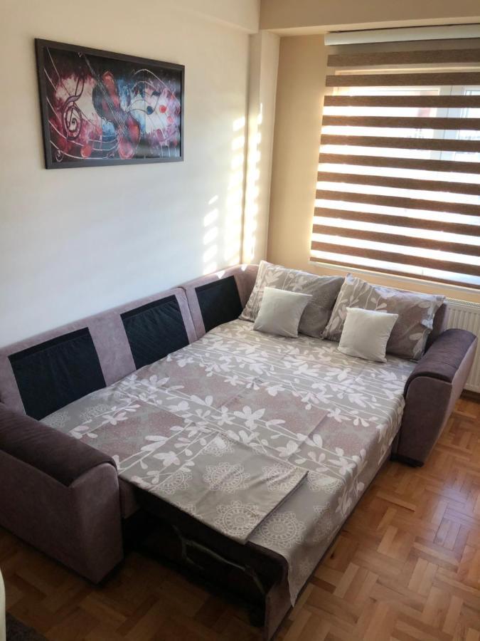 Mirkovic Lux Apartman Ni Exteriör bild